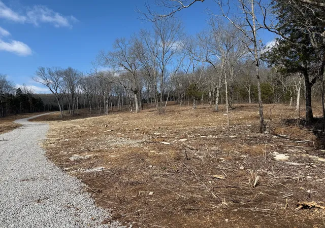 10th image of 2421 Richland Richardson, Murfreesboro, TN 37130 | MLS# 2765819