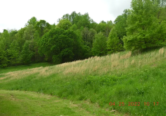 4th image of 1450 Hwy 64, Lawrenceburg, TN 38464 | MLS# 2378312