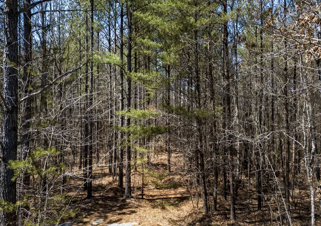 Homes for sale in Spencer, TN | 0 Country Side Ln Lot #51, Spencer, TN 38585 | MLS# 2424319