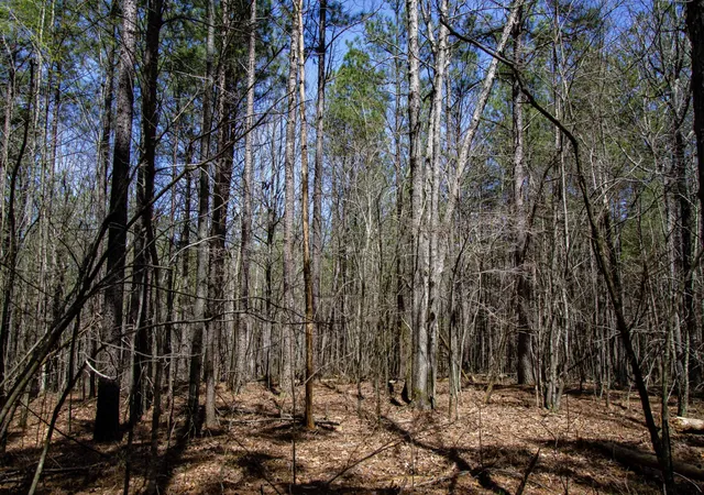 Homes for sale in Spencer, TN | 0 Country Side Ln Lot #51, Spencer, TN 38585 | MLS# 2424319