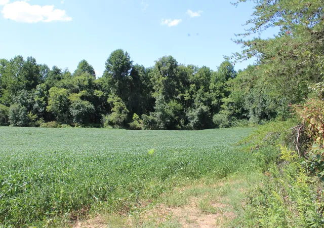 Photo 1 of Land for sale at 0 Higginbotham Rd, Mc Minnville, TN 37110 | MLS# 2433851 | Listing updated on 2026-09-02