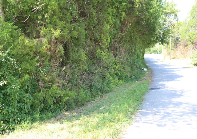 Photo 2 of Land for sale at 0 Higginbotham Rd, Mc Minnville, TN 37110 | MLS# 2433851 | Listing updated on 2026-09-02