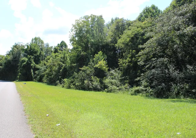 Photo 2 of Land for sale at 0 Higginbotham Rd, Mc Minnville, TN 37110 | MLS# 2433855 | Listing updated on 2026-06-05