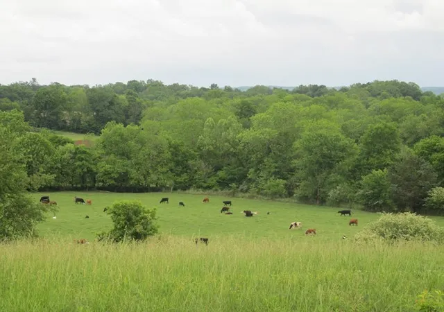 Photo 1 of Land for sale at 621 Blue Water Dr, Cookeville, TN 38506 | MLS# 2455426 | Listing updated on 2025-01-30