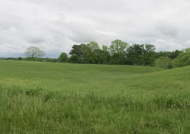 Photo 2 of Land for sale at 621 Blue Water Dr, Cookeville, TN 38506 | MLS# 2455426 | Listing updated on 2025-01-30