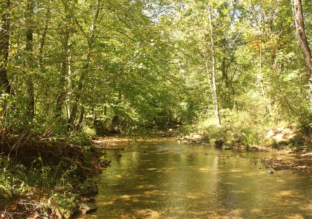 1st image of 0 Puncheon Creek Rd, Lafayette, TN 37083 | MLS# 2496720