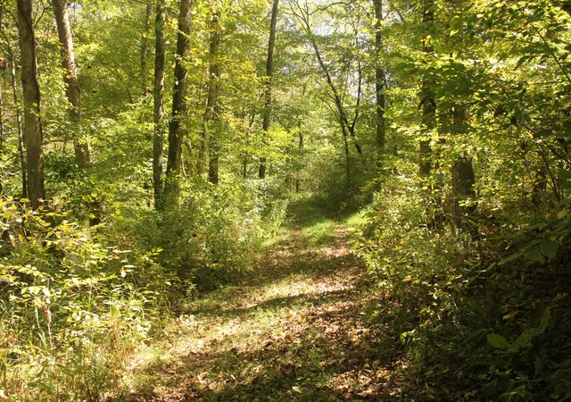 16th image of 0 Puncheon Creek Rd, Lafayette, TN 37083 | MLS# 2496720