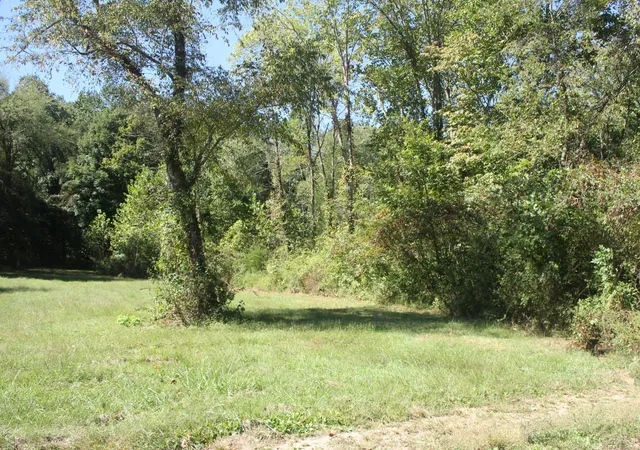 3rd image of 0 Puncheon Creek Rd, Lafayette, TN 37083 | MLS# 2496720