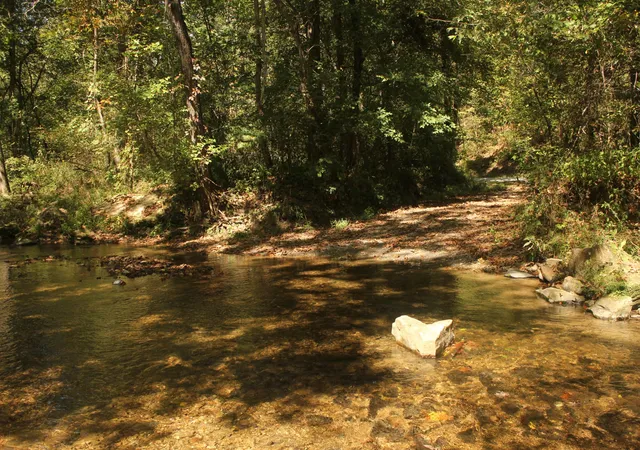 5th image of 0 Puncheon Creek Rd, Lafayette, TN 37083 | MLS# 2496720