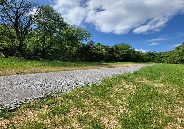 Land for sale at 0 Gossburg Road, Beechgrove, TN 37018 | MLS# 2516930