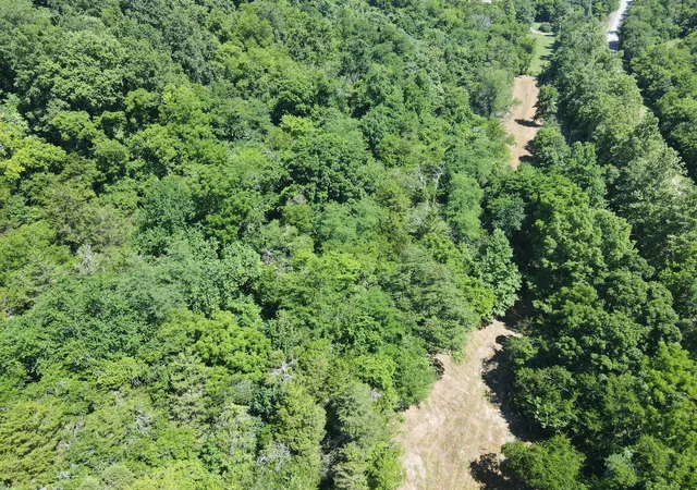 Photo 3 of Land for sale at 0 Gossburg Road, Beechgrove, TN 37018 | MLS# 2516930 | Listing updated on 2026-09-15