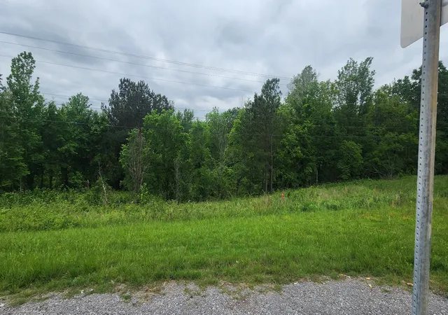 Homes for sale in Greenbrier, TN | 0 Tom Austin Hwy, Greenbrier, TN 37073 | MLS# 2528182