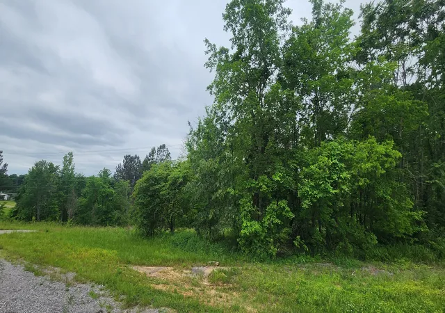 Homes for sale in Greenbrier, TN | 0 Tom Austin Hwy, Greenbrier, TN 37073 | MLS# 2528182