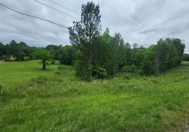 Homes for sale in Greenbrier, TN | 0 Tom Austin Hwy, Greenbrier, TN 37073 | MLS# 2528182