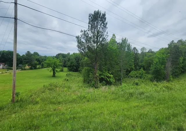 Homes for sale in Greenbrier, TN | 0 Tom Austin Hwy, Greenbrier, TN 37073 | MLS# 2528182