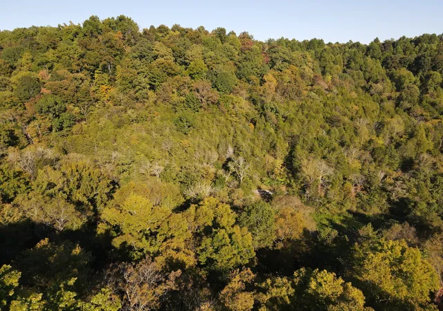 1st image of 0 Cole Ridge Rd, Manchester, TN 37355 | MLS# 2531391