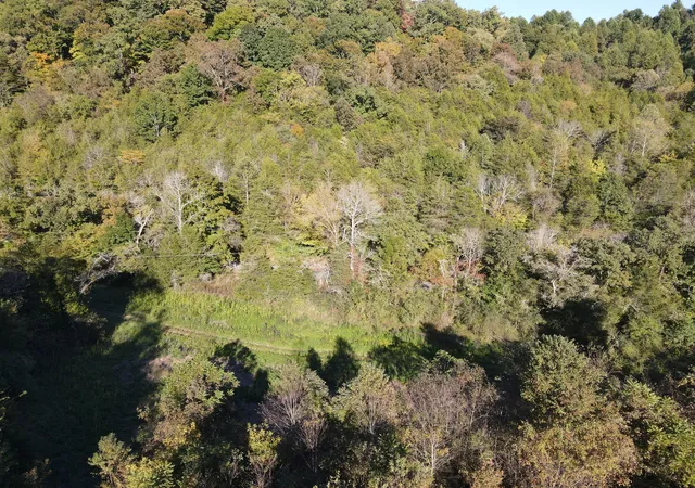 2nd image of 0 Cole Ridge Rd, Manchester, TN 37355 | MLS# 2531391