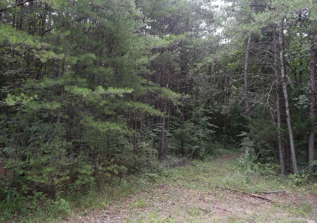 Photo 3 of Land for sale at 16226 Sr 50, Altamont, TN 37301 | MLS# 2535132 | Listing updated on 2026-10-05