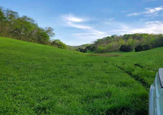 3rd image of 0 Rivendell, Beechgrove, TN 37018 | MLS# 2540081