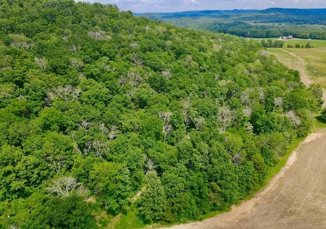 2nd image of 0 Thorn Gap Road, Cookeville, TN 38506 | MLS# 2556397