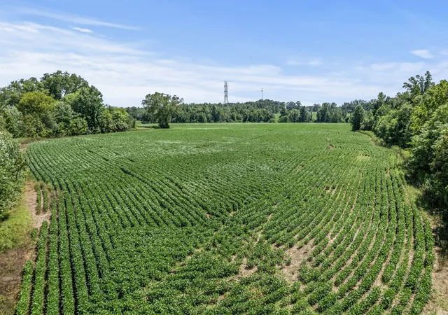2nd image of 5684 Buffalo Valley Rd, Cookeville, TN 38501 | MLS# 2559525