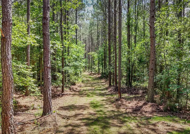 3rd image of 0 Hudson Rd, Hohenwald, TN 38462 | MLS# 2580291
