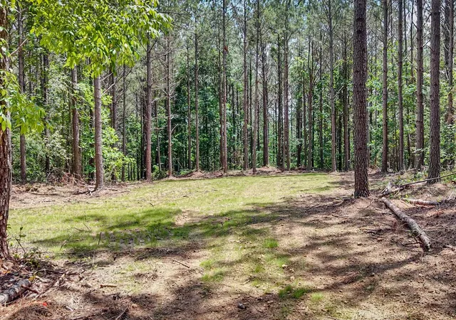4th image of 0 Hudson Rd, Hohenwald, TN 38462 | MLS# 2580291