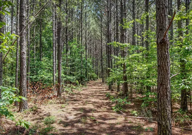 5th image of 0 Hudson Rd, Hohenwald, TN 38462 | MLS# 2580291