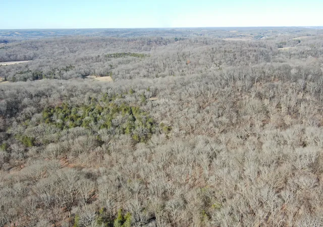 45th image of 0 N Third St, Pulaski, TN 38478 | MLS# 2600674