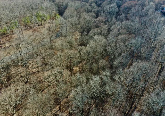 Photo 3 of Land for sale at 0 Forrest Crossing, Waverly, TN 37185 | MLS# 2657467 | Listing updated on 2026-08-29