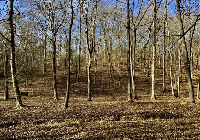 Photo 1 of Land for sale at 0 Forrest Crossing, Waverly, TN 37185 | MLS# 2657467 | Listing updated on 2026-08-29