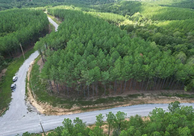 Photo 2 of Land for sale at 36 Pioneer Dr, Linden, TN 37096 | MLS# 2624137 | Listing updated on 2026-09-05