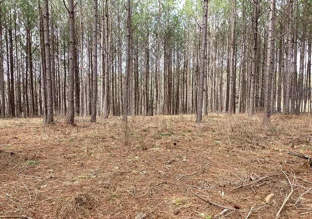 Photo 3 of Land for sale at 36 Pioneer Dr, Linden, TN 37096 | MLS# 2624137 | Listing updated on 2026-09-05