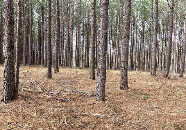 Photo 3 of Land for sale at 36 Pioneer Dr, Linden, TN 37096 | MLS# 2624137 | Listing updated on 2026-09-05