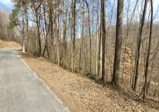 Homes for sale in Dover, TN | 1 Lakeshore Cir, Dover, TN 37058 | MLS# 2626134