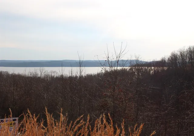 Photo 3 of Land for sale at 1 Golden Eagle Dr, Dover, TN 37058 | MLS# 2633116 | Listing updated on 2026-03-10