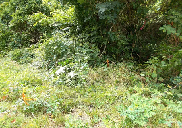 3rd image of 0 W Walnut St, Dickson, TN 37055 | MLS# 2625405