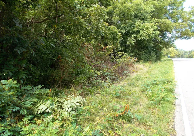4th image of 0 W Walnut St, Dickson, TN 37055 | MLS# 2625405