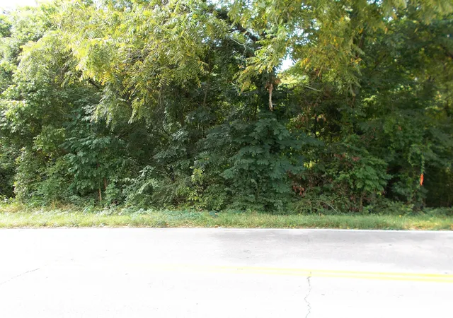 5th image of 0 W Walnut St, Dickson, TN 37055 | MLS# 2625405