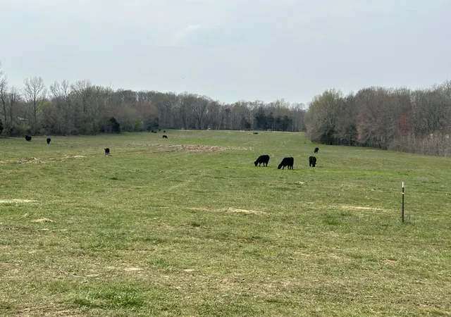 1st image of 0 Washington Rd, Greenbrier, TN 37073 | MLS# 2634746