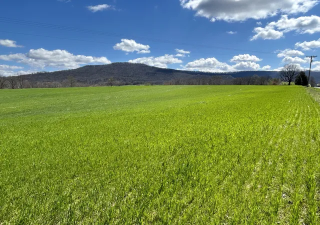 Photo 1 of Land for sale at 1467 Viola Rd Sw, Mcminnville, TN 37110 | MLS# 2632547 | Listing updated on 2025-04-02