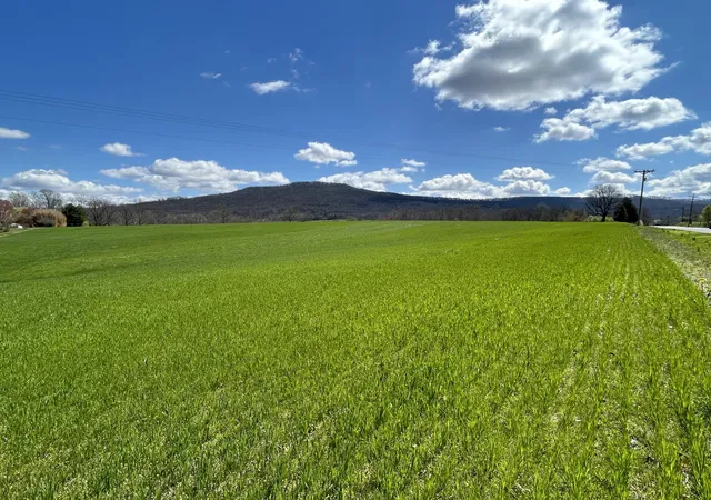Photo 3 of Land for sale at 1467 Viola Rd Sw, Mcminnville, TN 37110 | MLS# 2632547 | Listing updated on 2025-04-02