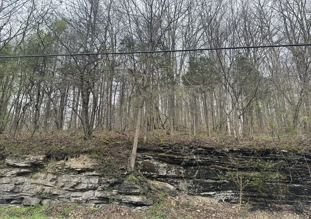 Photo 1 of Land for sale at 0 Highway 49, Ashland, TN 37015 | MLS# 2641595 | Listing updated on 2024-10-21