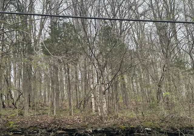 Photo 2 of Land for sale at 0 Highway 49, Ashland, TN 37015 | MLS# 2641595 | Listing updated on 2024-10-21