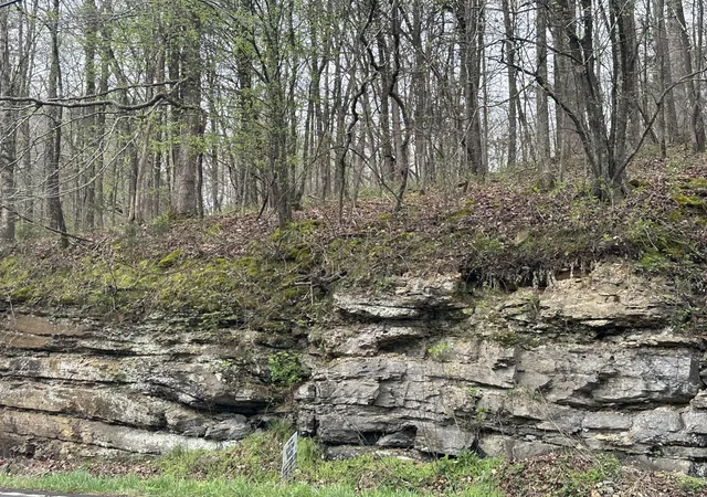 Photo 3 of Land for sale at 0 Highway 49, Ashland, TN 37015 | MLS# 2641595 | Listing updated on 2024-10-21