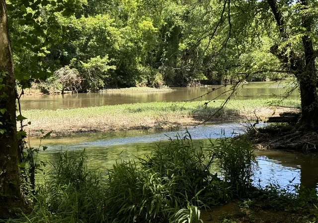 3rd image of 2543 Us Hwy 41A S, Shelbyville, TN 37160 | MLS# 2665795