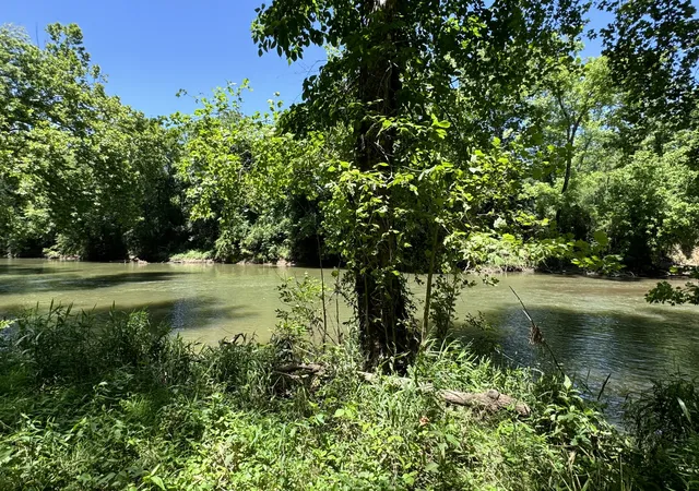 5th image of 2543 Us Hwy 41A S, Shelbyville, TN 37160 | MLS# 2665795