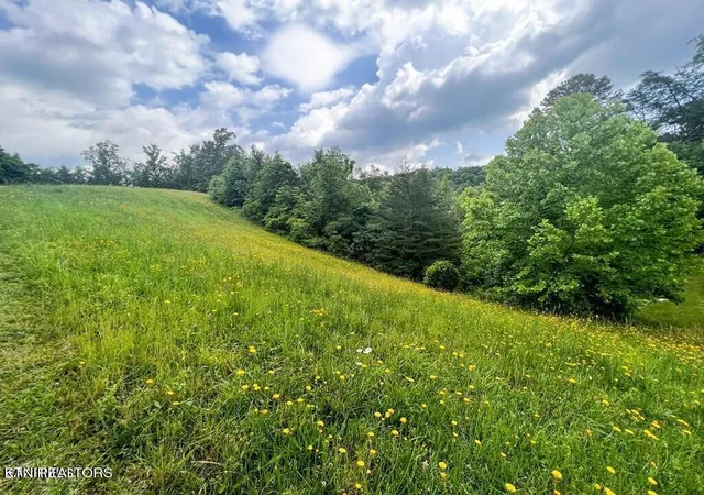 Photo 3 of Land for sale at 6213 Outlook Trl, Russellville, TN 37860 | MLS# 2906083 | Listing updated on 2026-09-22