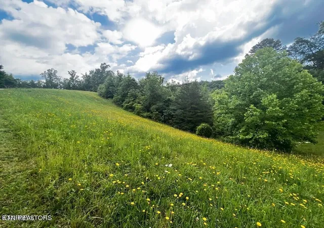 Photo 2 of Land for sale at 6219 Outlook Trl, Russellville, TN 37860 | MLS# 2906084 | Listing updated on 2026-09-22