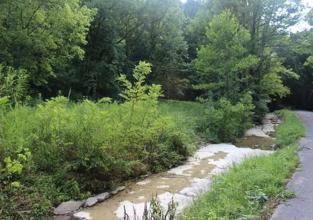1st image of 0 Patch Lane, Bethpage, TN 37022 | MLS# 2681379